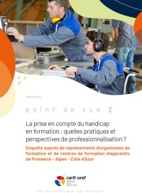 La prise en compte du handicap en formation : quelles pratiques et perspectives de professionnalisation<small class="fine d-inline"> </small>?