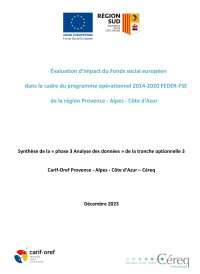 Évaluation d'impact du Fonds social européen dans le cadre du programme opérationnel 2014-2020 FEDER-FSE de la région Provence - Alpes - Côte d'Azur