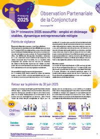 Un 1<sup class="typo_exposants">er</sup> trimestre 2025 essoufflé : emploi et chômage stables, dynamique entrepreneuriale mitigée