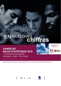 Handicap, bilan statistique 2010
