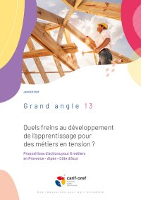 Quels freins au développement de l'apprentissage pour des métiers en tension<small class="fine d-inline"> </small>?