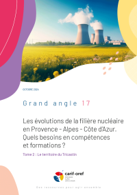 Les évolutions de la filière nucléaire en Provence - Alpes - Côte d'Azur. Quels besoins en compétences et formations<small class="fine d-inline"> </small>?