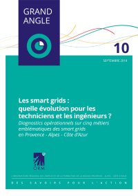 Les smart grids : quelle évolution pour les techniciens et les ingénieurs<small class="fine d-inline"> </small>?