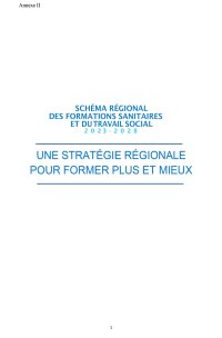Schéma régional des formations sanitaires et du travail social